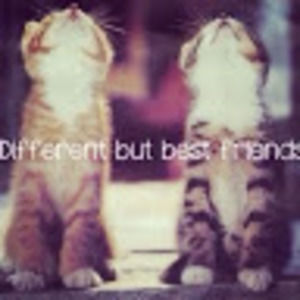 Meet your Posher, Jessie